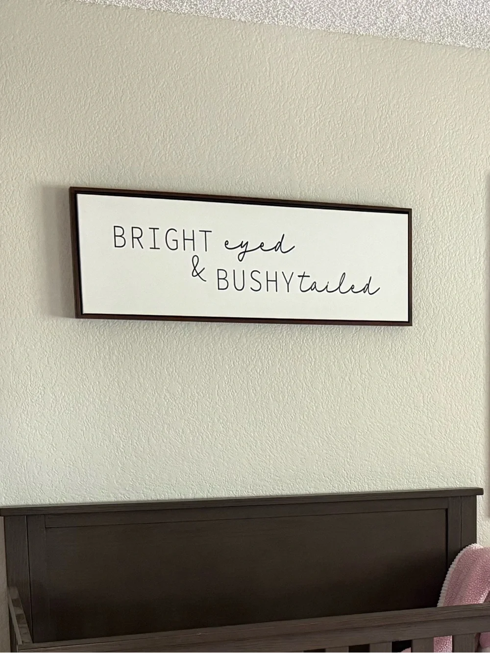 Bright Eyed & Bushy Tailed Framed Wall Sign